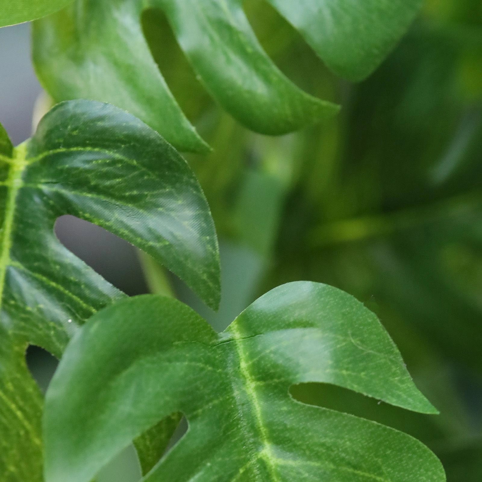 Plante Artificielle Tombante